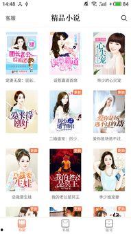 国产系列精品小说视频,影视盛宴中的文学魅力再现